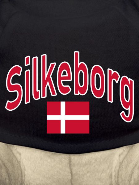 Silkeborg dänemark flagge