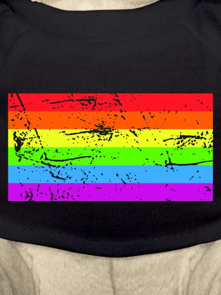 Rainbow flag Grunge