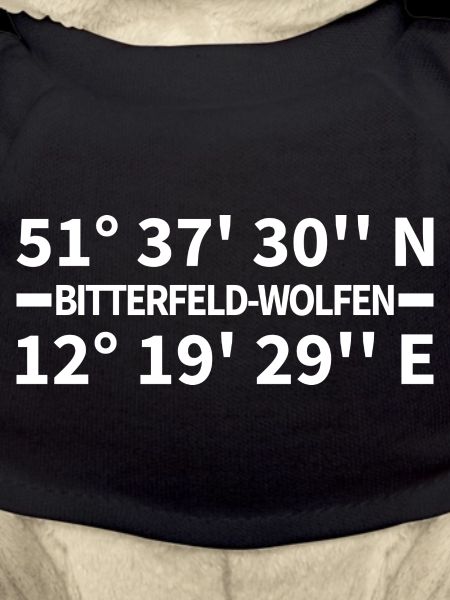 Coordonnées de Bitterfeld-Wolfen