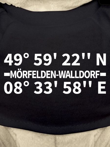 Coordonnées de Mörfelden-Walldorf