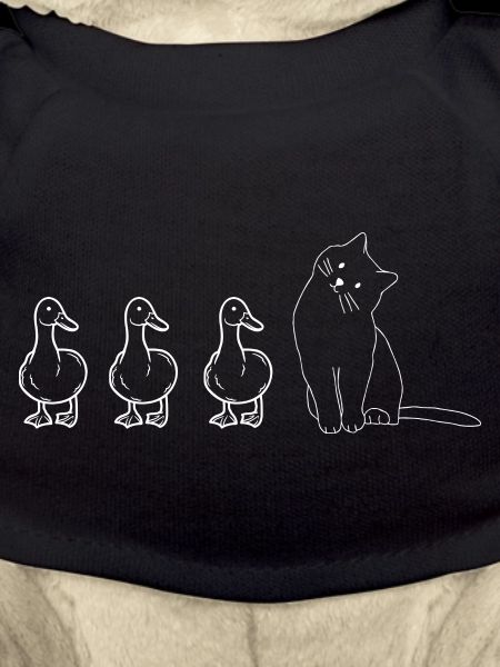 Cute Animals Ducks and Cat