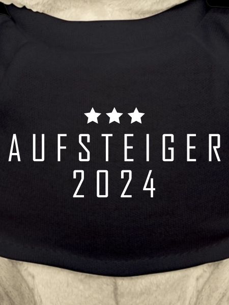 Aufsteiger 2024 Aufstiegstrikot 24