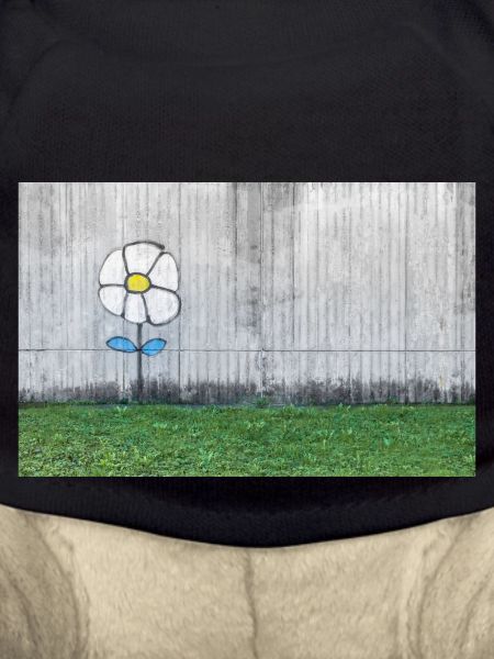 Graffiti of a daisy