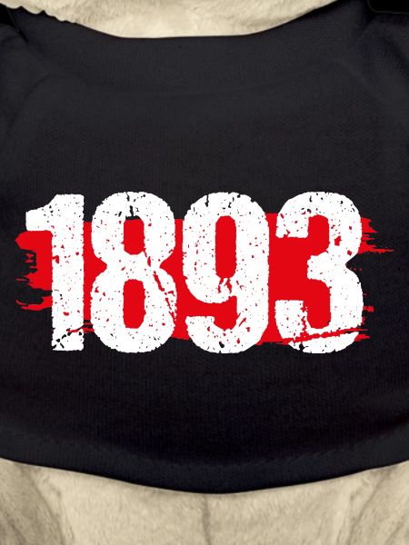 Stuttgart 1893