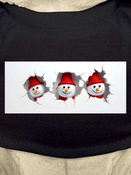 Schneemann 3D