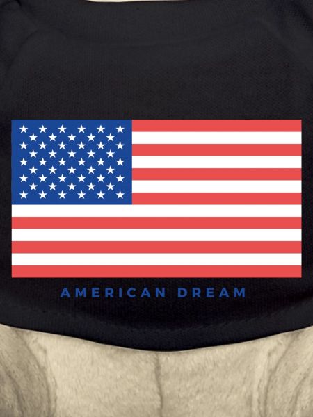 American dream