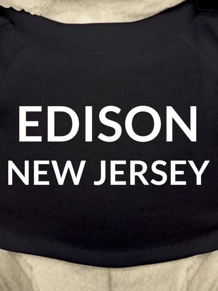 Edison New Jersey USA