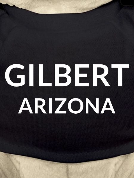 Gilbert, Arizona, USA