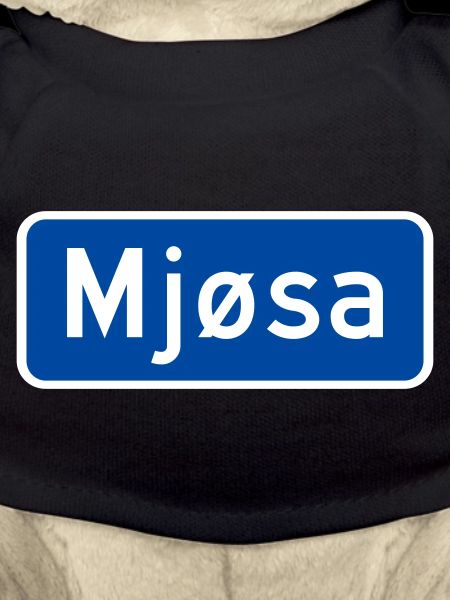 Der Mjøsa-See