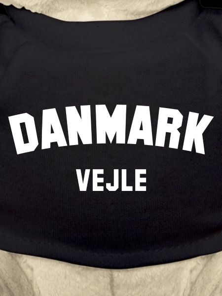 VEJLE, Denmark, Denmark
