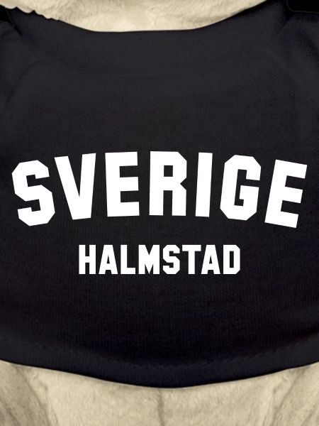 HALMSTAD Sweden Schweden