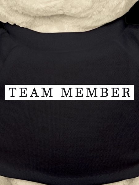 Team Member Group