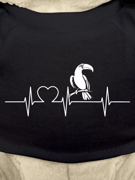 Toucans Toucan