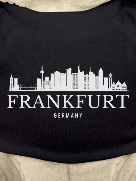 Frankfurt Skyline, Frankfurt Germany