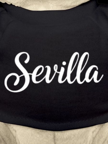 Sevilla Handlettering Script