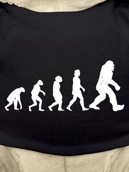 Bigfoot Sasquatch Cache-cache Dictons