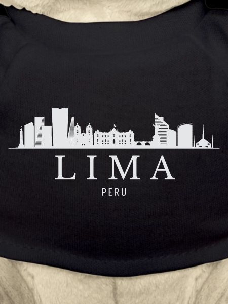 Lima Skyline, Lima Peru