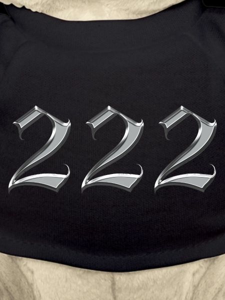 Alignement de l’Ange Numéro 222