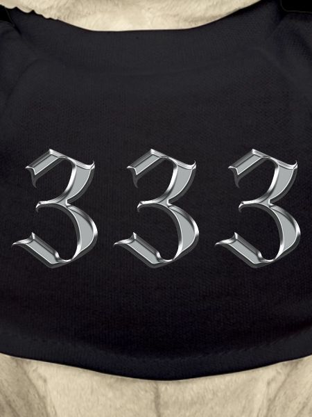 Angel Number 333 Support