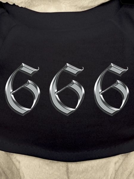 Angel Number 666 Reflect
