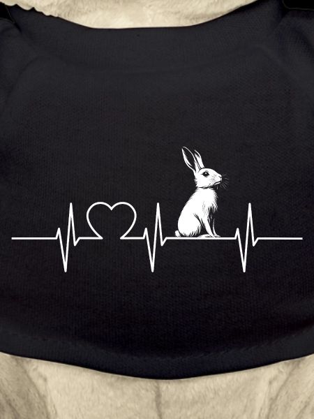 Lapin Lapin