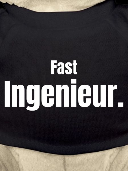 Fast Ingenieur