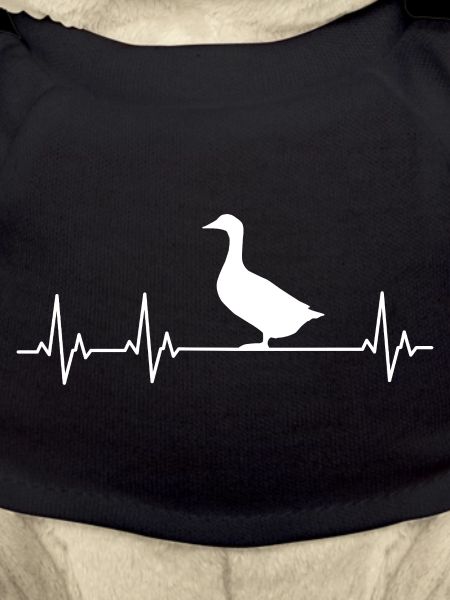 Duck - Ducks - Duck Breeder - Love