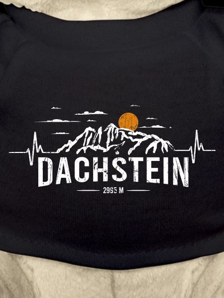Dachstein Ramsau Austria Heartbeat