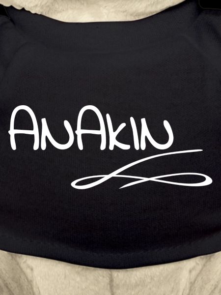 Anakin Graffiti Lettering