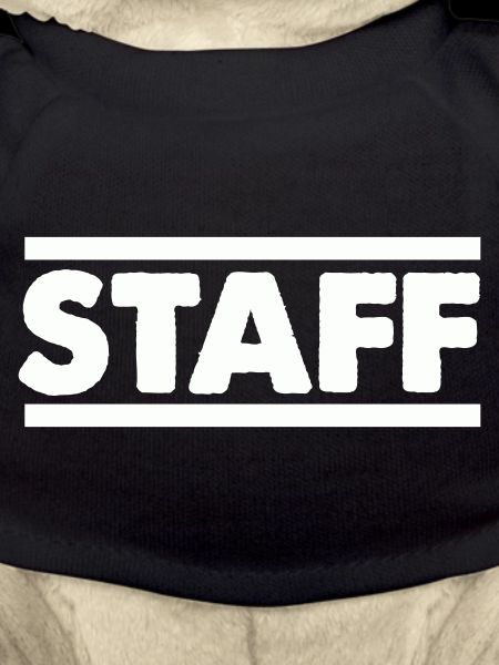 Staff Lettering Bold Contrast