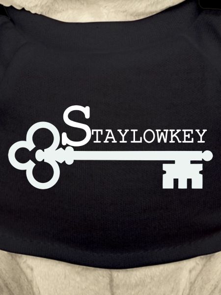 Stay Low Key Key Illustration
