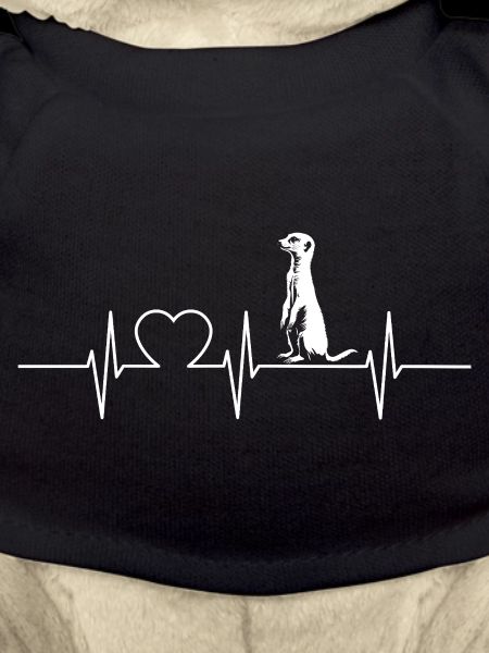 Meerkat Erdmännchen