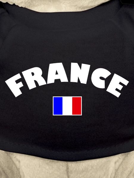 France drapeau français