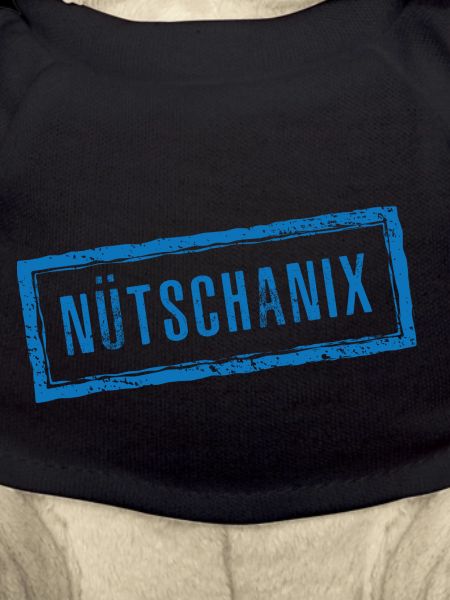 Nütschanix