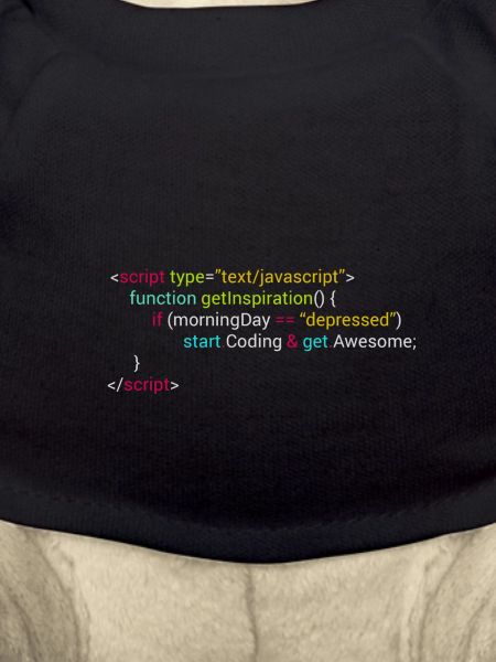Geek attitude code
