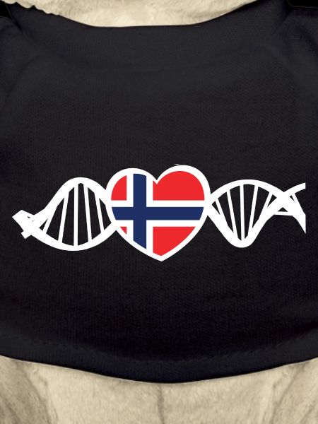 Norvège