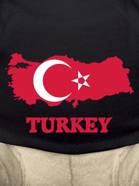 turkey