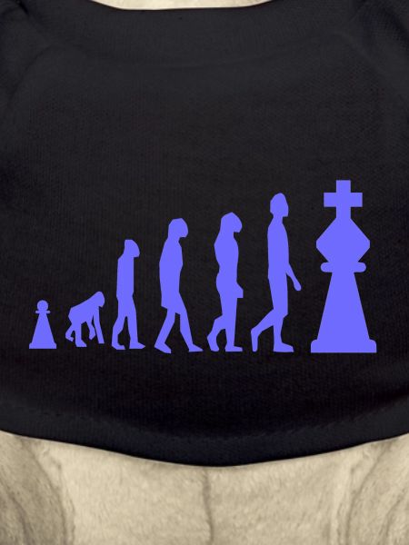 Chess Evolution Chess Funny