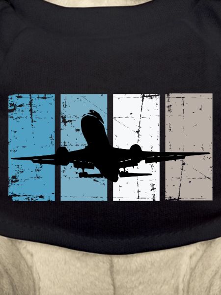 Flugzeug Pilot Luftfahrt