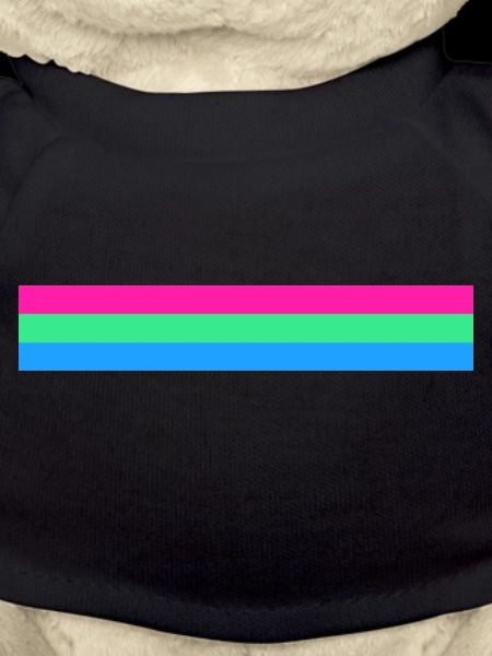 Polysexual flag