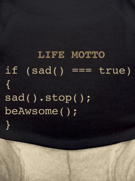 Developer IT Life Motto