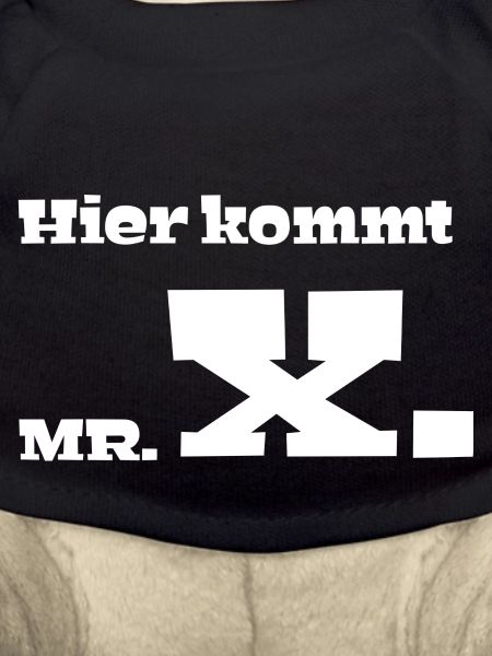 Hier kommt Mr. X.