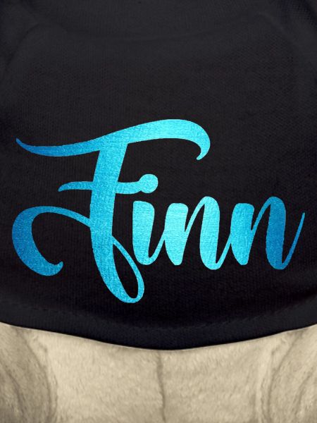 Finn