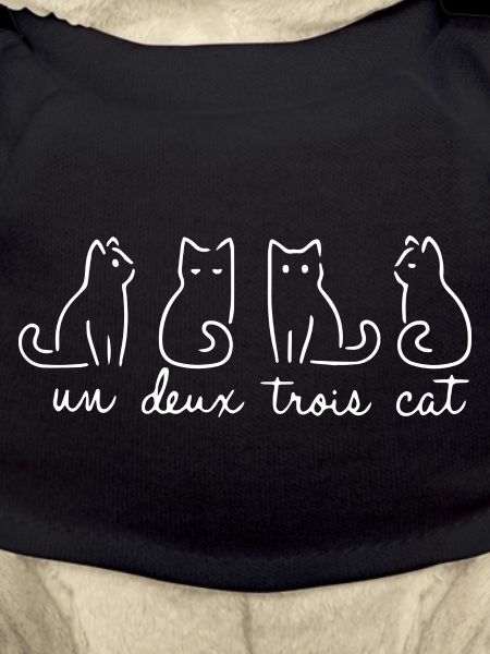 Un Deux Trois cat funny