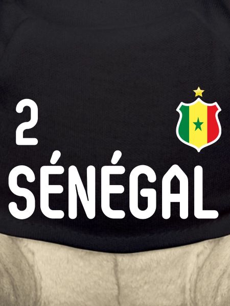 équipe Sénégal