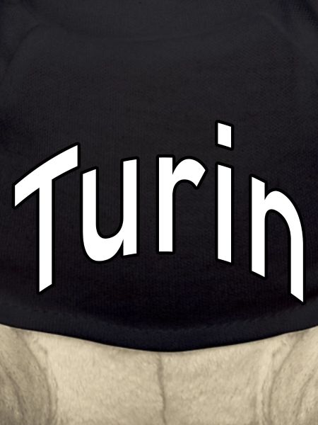 Turin