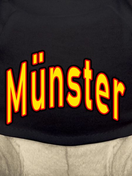 Münster