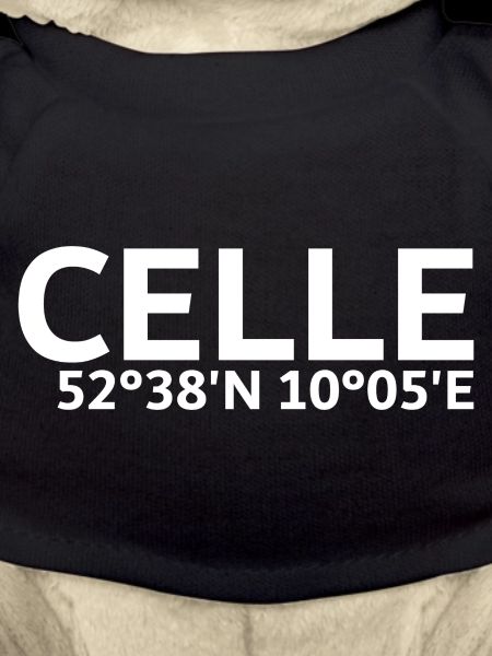 Celle Koordinaten