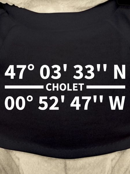 Coordonnées Cholet