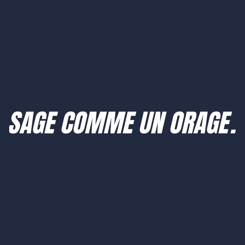 sage comme un orage